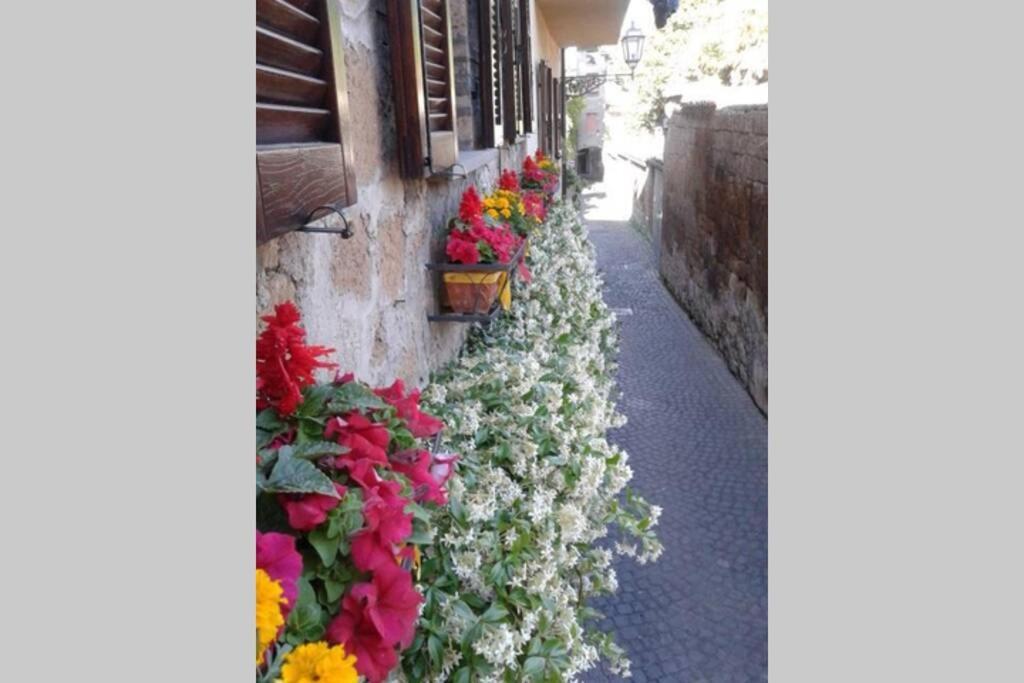 Villa Il Gelsomino Di Isia à Orvieto Extérieur photo